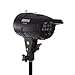 Fovitec StudioPRO 400 Watt Monolight Strobe Flash Photography Lighting Kit for Wedding, Food Blogging, Portrait, Product Photo - (2) 200W/s Flash Head with Light Stands & 20