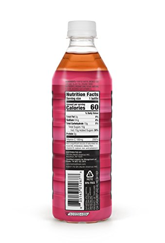 Teas' Tea Organic Cold Brew Raspberry Black Tea (Pack of 12) Organic Cane Sugar Sweetened No Artificial Sweeteners Antioxidant Rich Good Source of Vitamin C