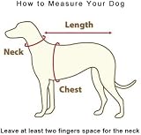 Padding Paws Dog Harness Small Adjustable Waterproof Mesh Green view 5