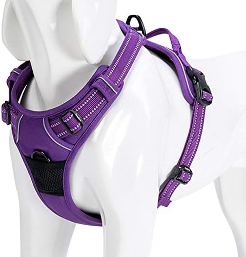 WINHYEPET True Love Dog Harness