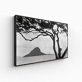 Canvas Wall Art for Living Room, Bedroom Monochrome Plants Framed Canvas Prints for Home Decoration Ready to Hang - 16x24 inches