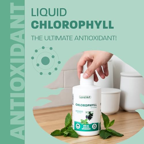 Liquid Chlorophyll Mint - Cold Extracted from Non-GMO Alfalfa - Clorofila - Detox Cleanse - Alkalization & Antioxidant Support - Vegan - Gluten Free - Made in Canada - 500 ml Bottle
