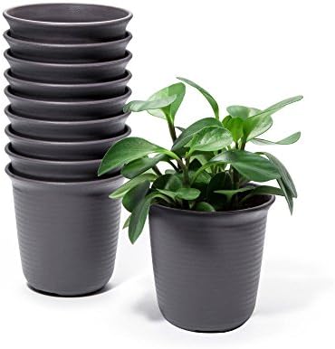 goldblue Plastic Round Succulent Plant Pot (Deep Grey 3.5 Inch(Tall))