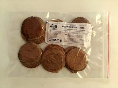 FarmCrane 100 Premium Indian Almond Leaf HALOS Catappa-Ketapang-Naturally-Aged-and-Dried 100 cute round leaves 4.5 cms diameter