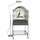 Avian Adjustable Floor Lamp for Bird