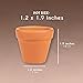 Juvale 10-Pack 2-Inch Mini Terracotta Pots with Drainage Holes for Succulents, Plants, Herbs, and Flowers, Small Clay Pot Planters for Indoor and Outdoor Gardening, Crafts