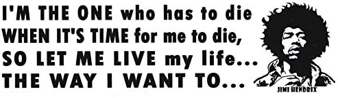 I'm The One Who Has To Die When It's Time For Me To Die - Jimi Hendrix - Magnetic Bumper Sticker / Decal Magnet (10.5" X 3")
