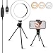 Ring Light [6.3 Inch] with Tripod Stand & Phone Holder,Dimmable 3 Light Modes Selfie Light,Camera Lights for YouTube/Photography/Makeup