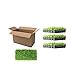 Floratam St. Augustine Grass Plugs / Box of 72 primary