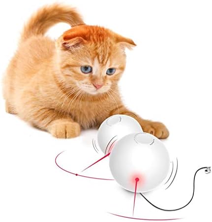 q tip cat toy