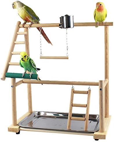 conure play gym