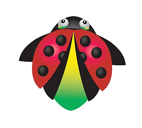 CloudPleaser Ladybug