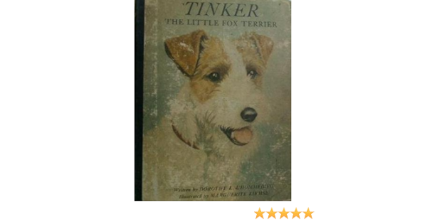little fox terrier