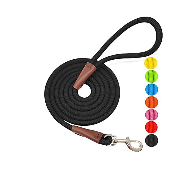 mountain rope dog leash