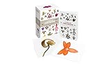 A Box of Orchids: 100 Beautiful Postcards by 
