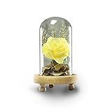 Yeefant Micro Landscape Decoration, Romantic Roses in a Glass Dome on Wooden Base with Light for Birthday Gift Bedroom Livingroom Decor,4x4x4.3 Inch (Yellow)