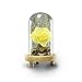 Yeefant Micro Landscape Decoration, Romantic Roses in a Glass Dome on Wooden Base with Light for Birthday Gift Bedroom Livingroom Decor,4x4x4.3 Inch (Yellow)