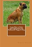 Learn How to Train and Understand Your Bullmastiff Puppy & Dog