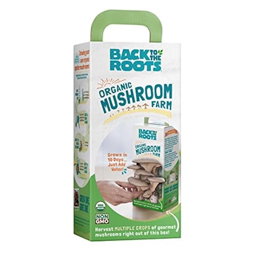 Back to the Roots Organic Mushroom Farm (Packaging May Vary) collection of cool unique weird amazon gift items