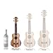 Honsing Soprano Ukulele Professional 21 Inch uke with 5mm Padded Gig Bag Aquila Strings Rosswood Frets Colorful Stained Hawaiian Pattern