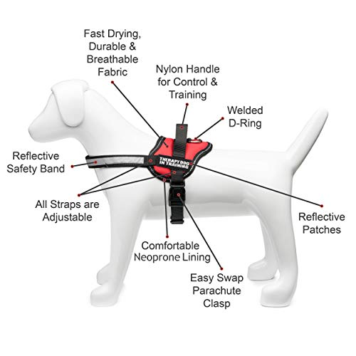 Industrial Puppy Therapy Dog in Training Vest with Hook and Loop Straps
