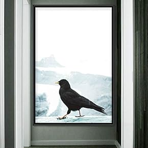 signwin Framed Canvas Wall Art Single Bird Birds...