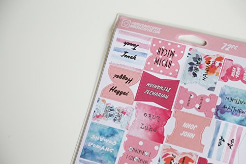 5 Stick+Colorful+Bible+Bibles+Coffee