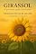 Livro GIRASSOL: A que Nunca Perde o Sol de Vista (COLEÇÃO FLORES Livro 4)