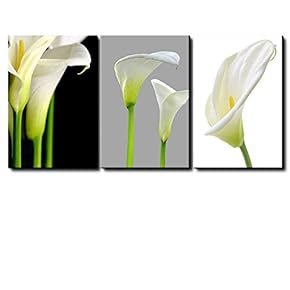 Canvas Prints Wall Art - 3 Panel Canvas Prints Wall Art - White Calla Lillies Flowers - 16"x24" x 3 Panels