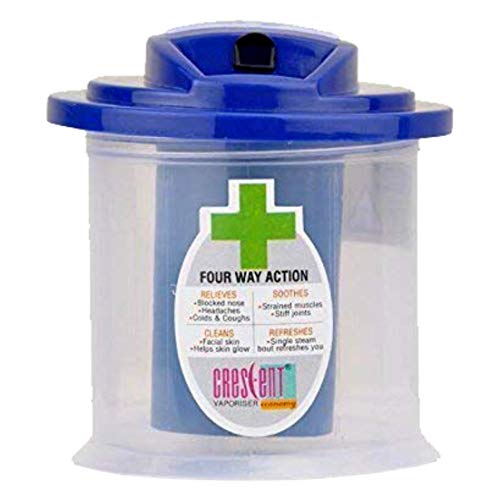 Best Professional face steamer