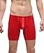 Winday Men's Sexy Briefs Thong G-string Elastic Smooth Bikini Airplane Underwear N4011 L/US M Red