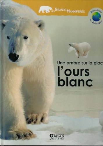 couverture de : Une ombre sur la glace, l'ours blanc