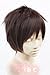 Aicos Attack on Titan Eren Jaeger Short Dark Brown Anime Cosplay Wig by 2013 wig