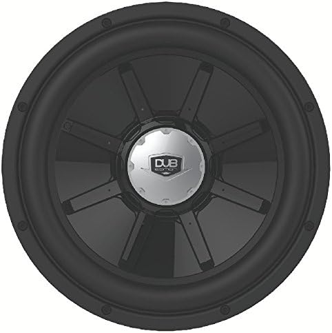 dub 12 inch subwoofer