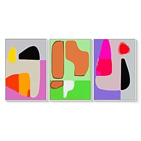 3 Piece Floating Framed Canvas Wall Art for Living Room, Bedroom The Geometry Canvas Prints for Home Decoration Ready to Hang - 16"x24"x3 Panels