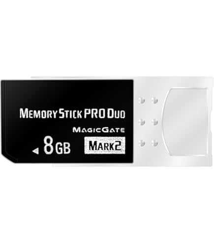 Amazon.com: Sony 1 GB Memory Stick PRO Duo Flash Memory Card