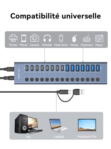 Hub USB 3.2 alimenté, ACASIS USB Hub 10Gbps 16 ports (8 ports USB-A 3.2 + 8 ports USB-C 3.2) en Aluminium, Multi Hub USB avec adaptateur d'alimentation 96 W, Hub USB Alimenté pour PC/Macbook/Clé USB