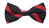 Scott Allan Mens Silk Twin Stripe Bow Tie
