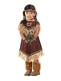California Costumes Lil' Indian Princess Costume