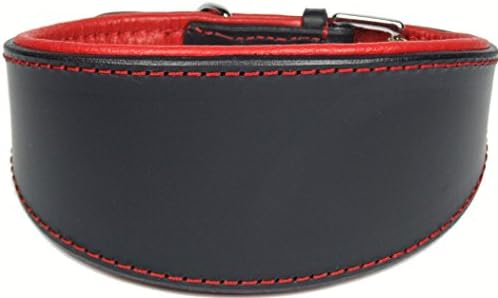 Ace Comfy Leather Dog Collars Padded And lined with Lamb's Leather suitable for Saluki, Lurcher Hounds, Afghan hounds, whippets & Greyhounds: (14" Collar – will fit 10” to 11”).