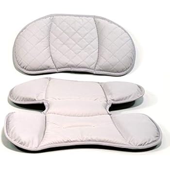 Amazon Com Chicco Keyfit 30 Infant Car Seat Polaris