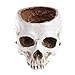 Skull planter , Resin Skull Head Flower Succulent Cactus Planter Pots , Small Object Containers Keys Sugar Candy Bowl, for Home Office Desk Decorations,Halloween Scene Statue Sculpture (White)