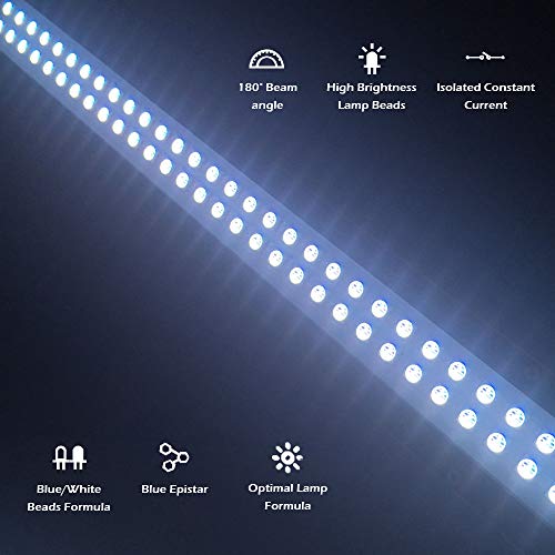 2 Lominie+Aquarium+Saltwater+Freshwater+Planted