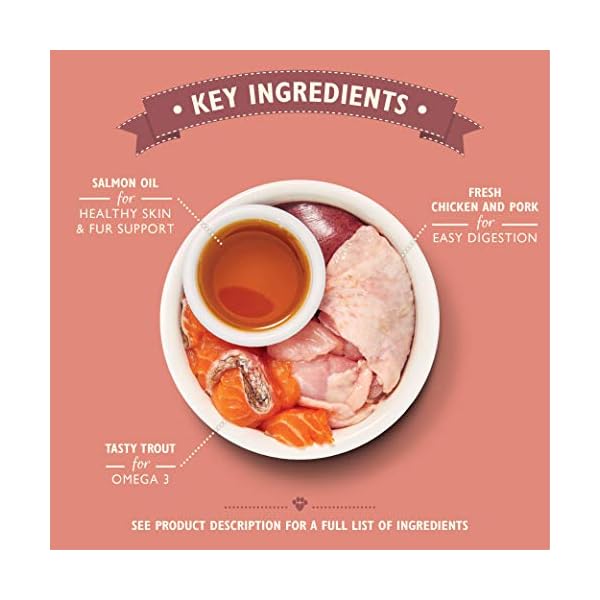 Lilys-Kitchen-Smooth-Pate-for-Kitten-Chicken-Beef-19-x-85-g Lily's Kitchen Smooth Pate for Kitten, Chicken with Beef ,19 x 85 g