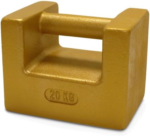 Rice Lake 12767 Cast Iron Painted Grip Handle Test Weight, 10kg Mass, NIST Class F