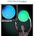 Paradise Treasures Light up Beach Ball with Color Changing LED
