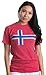 Norwegian Flag | Vintage Style, Retro-Feel Norway Flag & Lion Unisex T-shirt