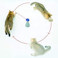 cool cat toys