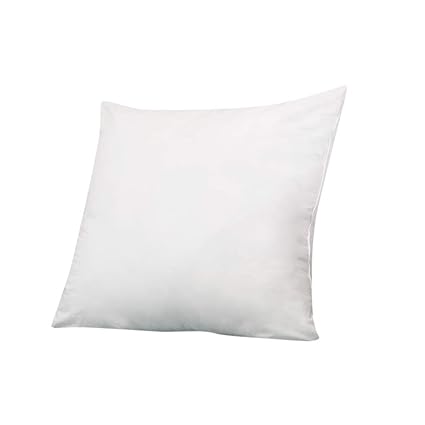 Amazon Com Linen Street Hotel Quality Pillow Pack Of 1 20 X 20