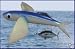 Set of 10 Flying Fish 8" Blue / Glow TUNA Lure, Unriged - NEW